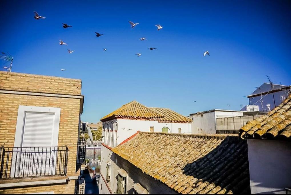 דירות סביליה Luminoso Apartamento Centro Triana מראה חיצוני תמונה